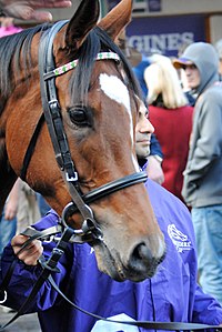 Who will win the prix de l arc de triomphe la