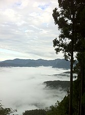 Sea of clouds