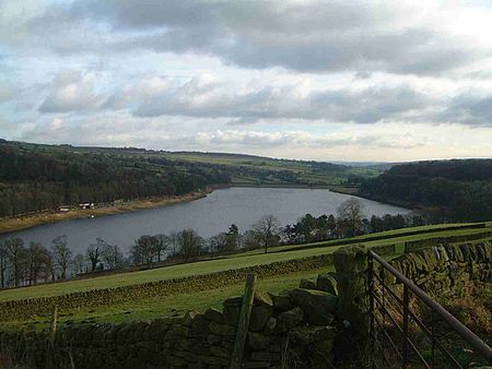 Damflask from Ughill Heights