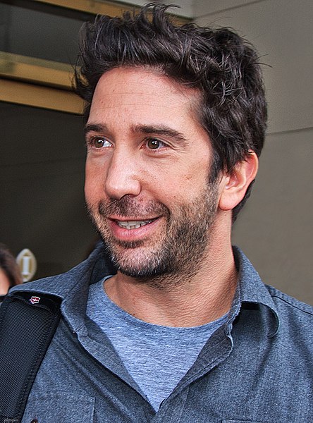 File:David Schwimmer (5208598833).jpg