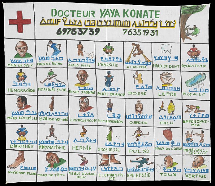 File:Diseases treated by Yaya Konate. Wellcome L0069388.jpg