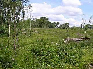 Eagle Island, County Fermanagh Human settlement in Northern Ireland