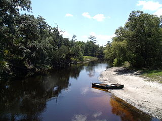 Econlockhatchee River River in Osceola, Florida