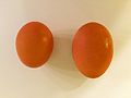 Perbandingan antara sebuah telur dan sebuah telur "maxi" yang memiliki dua kuning telur - belum dibuka (1/2)