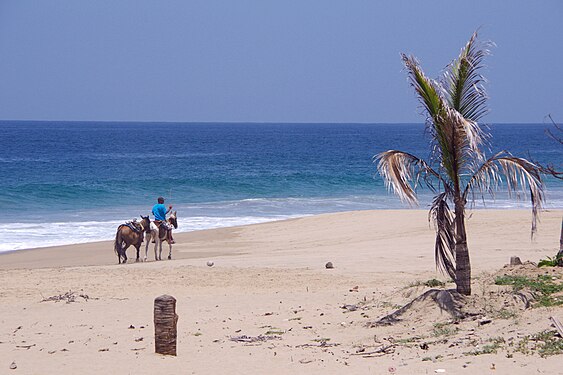 Cruising at the beach