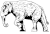 Elephant se logo white.gif