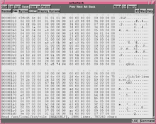 Example of Elvis' hexadecimal editing mode. Elvis-hexedit.png