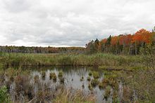 Eugene Moran Wildlife Management Area Eugene Moran WMA, Windsor MA.jpg