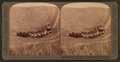 Evolution of the sickle and flail, 33-horse team combined harvester, Walla Walla, Washington, from Robert N. Dennis collection of stereoscopic views.png