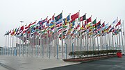 דגלי המדינות המשתתפות