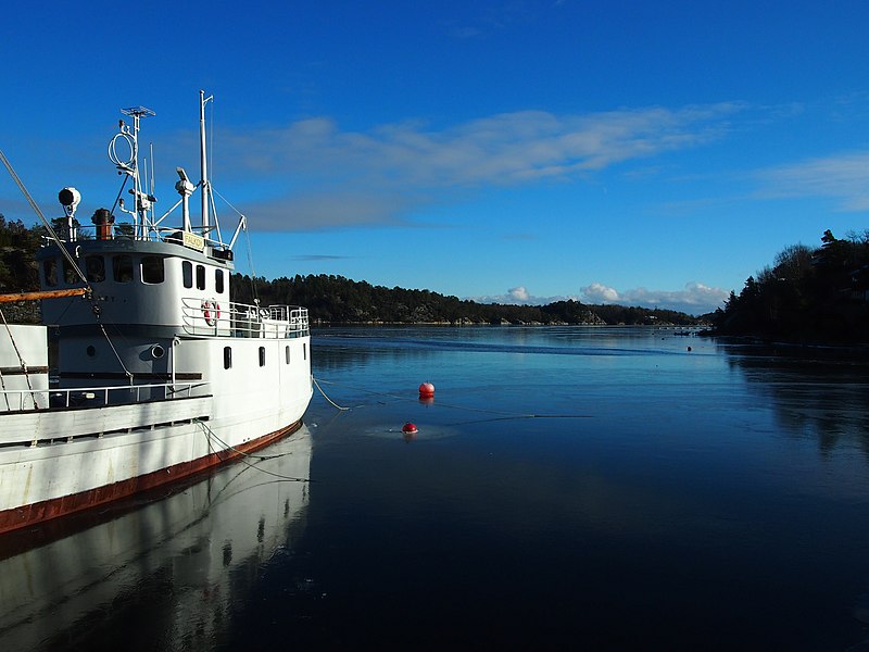 File:Falkøy i Vallesverdfjorden - panoramio.jpg