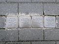 Stolpersteine für die Familie Fantl in Dresden