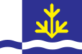 Drapeau de Toila