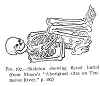 Stone box grave demonstrating flexed burial FlexedSkeleton.jpg