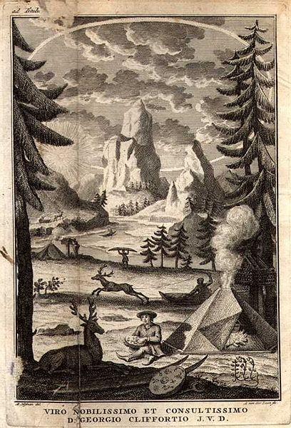 File:Flora Lapponica (frontispiece).jpg