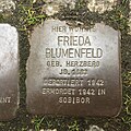 Oder Liste Der Stolpersteine In Frankfurt: Verlegte Stolpersteine, Verlegungen, Siehe auch