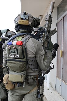 Délinquance : les conseils d'un ex-opérateur du GIGN pour « se préparer au  pire » - Valeurs actuelles