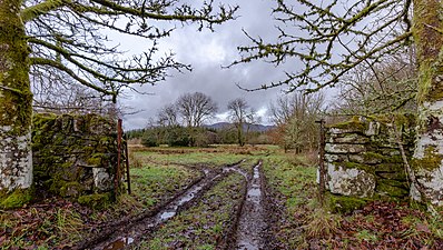 Gate and farm tracks close to Gartur Stitich Farm