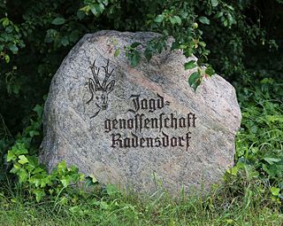 Jagdgenossenschaften sind in D