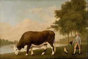 George Stubbs - The Lincolnshire Ox - Google Art Project.jpg