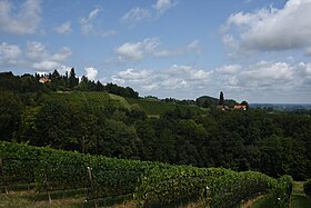 Glanz an der Weinstraße