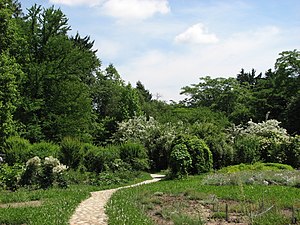 Botaniska trädgården