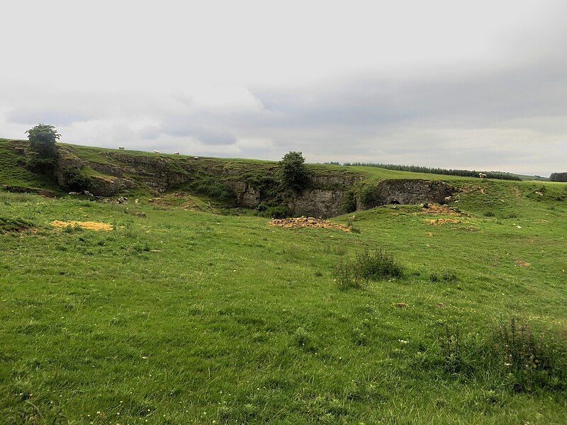 File:Grassland on Wardhall Common - geograph.org.uk - 5004160.jpg