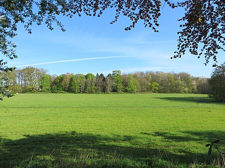 Hagen LSG Duenningsbruch