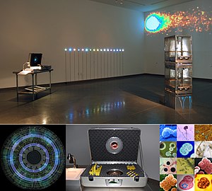 Halfway to Invisible, Eve Andree Laramee, 2009, Installation: kinetic sculpture, video, video projection, 60 lightboxes with transparencies, Cold War artifacts, archive of documents, photographs, ambient soundscape. Halfway to Invisible matrix. Eve Andree Laramee.jpg