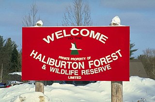 <span class="mw-page-title-main">Haliburton Forest</span> Privately owned forest in Ontario, Canada