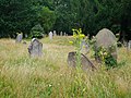 Headstones in Putney Lower Common Cemetery.