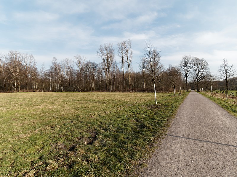 File:Herten Weg im Schlosspark.jpg