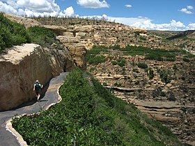 Illustrasjonsbilde av artikkelen Wetherill Mesa