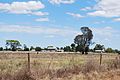 English: Racecourse at Hillston, New South Wales