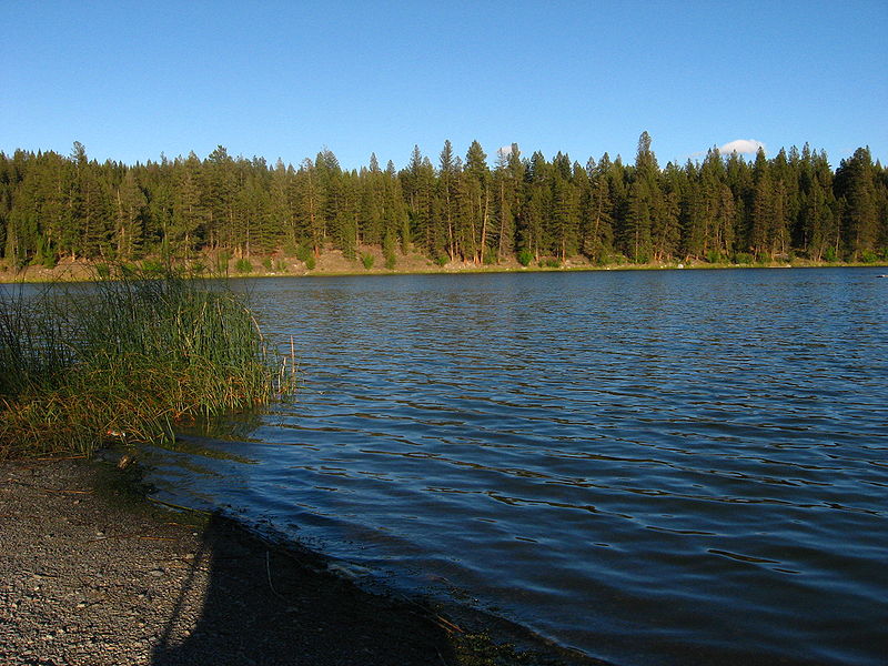 File:Horseshoe Lake, Roche Lake PP.JPG