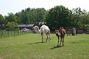 Čeština: Penzion a farma Hulín, Česká republika.