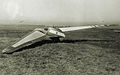 Planeador de ala volante IAe.41 Urubú (1953)