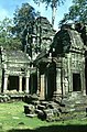 Angkor: Ta Prohm