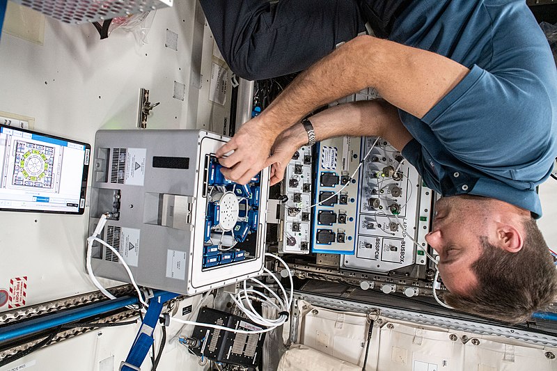 File:ISS-65 Pesquet installs Molecular Muscle Experiment-2 (2).jpg