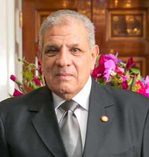 Ibrahim Mahlab 2014.png