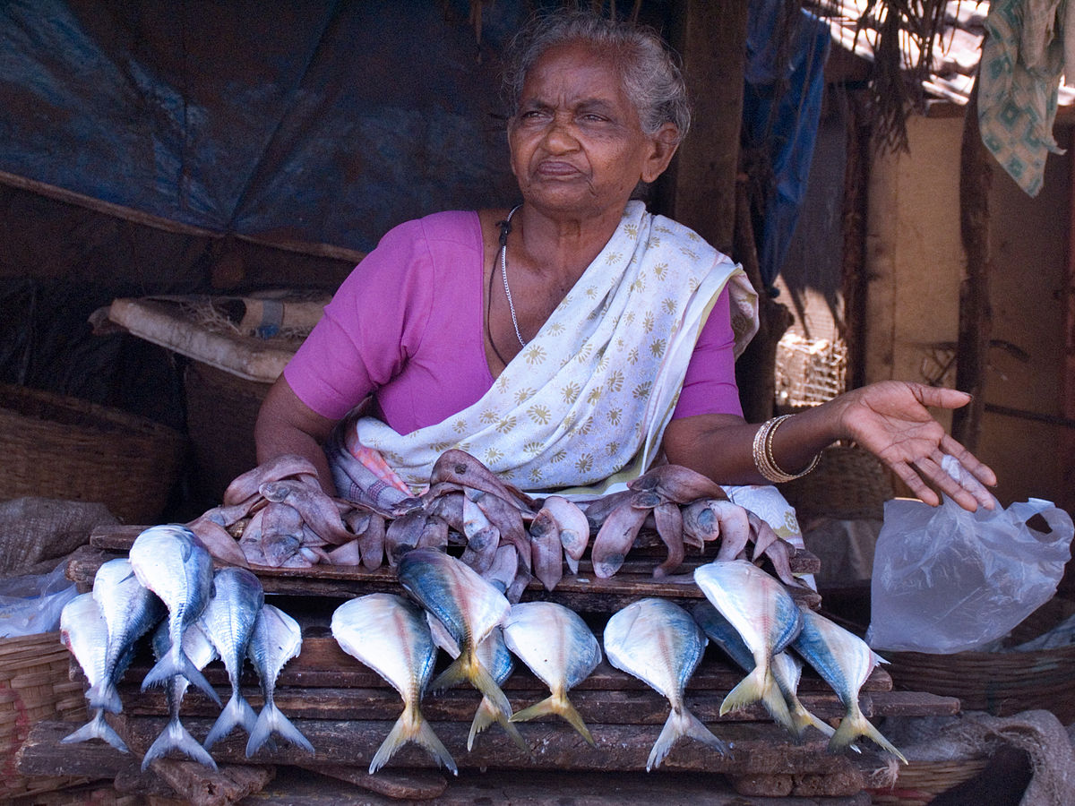 File:India - Fish seller - 7117.jpg - Wikimedia Commons