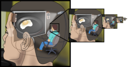 Meaning homunculus Motor Homunculus