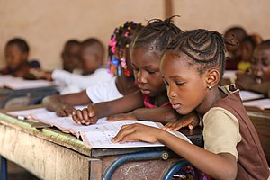 Deux jeunes filles sont assises près l'une de l'autre à leur bureau et regardent attentivement leur classeur.