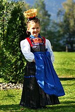 Thumbnail for Bregenzerwald traditional costume (Juppe)