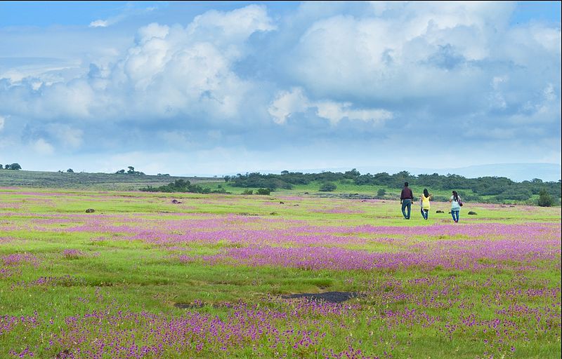 File:Kaas plateau1.jpg