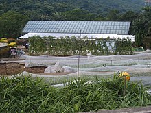 Kadoorie Farm and Botanic Garden. Kadoorie farm agriculture.jpg