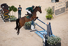 Kamal Bahamdan on Noblesse Des Tess, competing in the 2013 Longines Global Champions Tour Kamal Bahamdan & Noblesse Des Tess - 2013 Longines Global Champions Tour-4.jpg