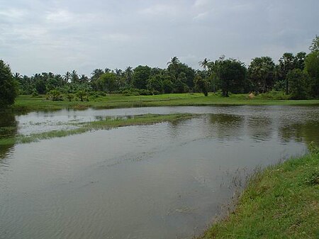 Banteay Meanchey