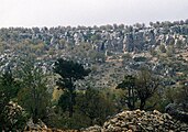 Landschaft bei Gülnar