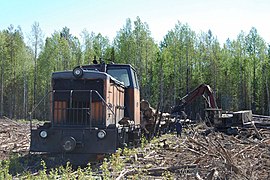 Kobrinskaya Forest Railway